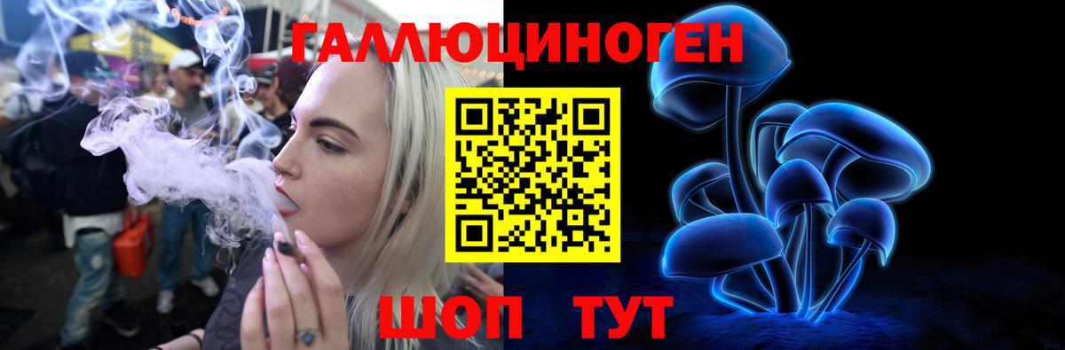 Галлюциногенные грибы GOLDEN TEACHER  Вход с VPN  Минусинск  Псилоцибиновые грибы GOLDEN TEACHER 
